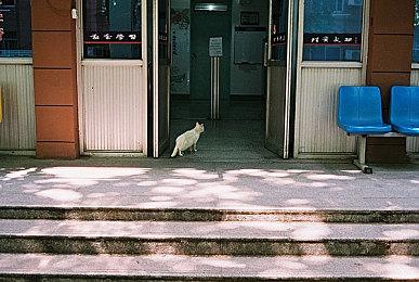 传奇设计师梅森重回暴雪 《魔兽世界》还能战10年？