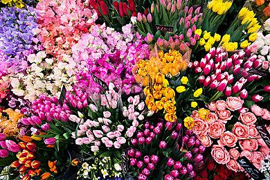 《战地1》《战地：硬仗》服务器一直被DDoS攻击